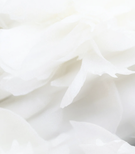 Natural Sensitive Scalp Shampoo, 400 ml