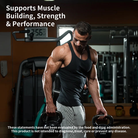 Pure Creatine Supplement – 90 Capsules Fitness Booster