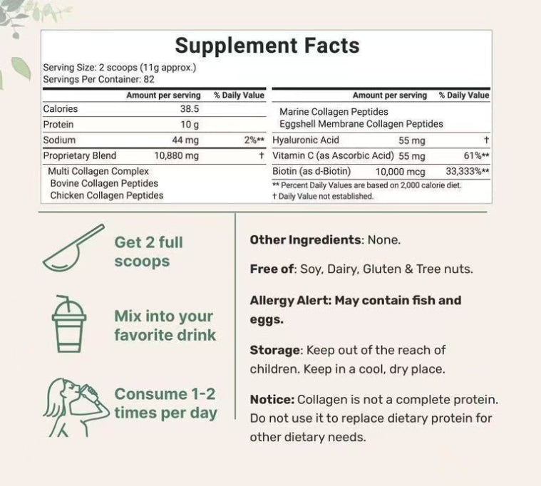 Oregano Oil Capsules – Natural Immune and Antioxidant Support