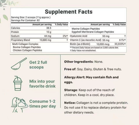 Oregano Oil Capsules – Natural Immune and Antioxidant Support