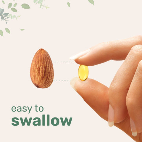 Oregano Oil Capsules – Natural Immune and Antioxidant Support