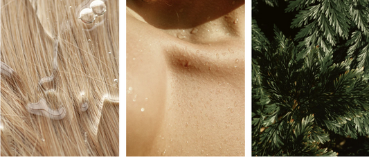 Sensitive Scalp & Citrus Conditioner Set – Allure Hera, Soothing & Refreshing Haircare Duo