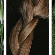 Fresh rosemary sprigs, braided hair, and textured sage leaves representing natural ingredients for hair care.